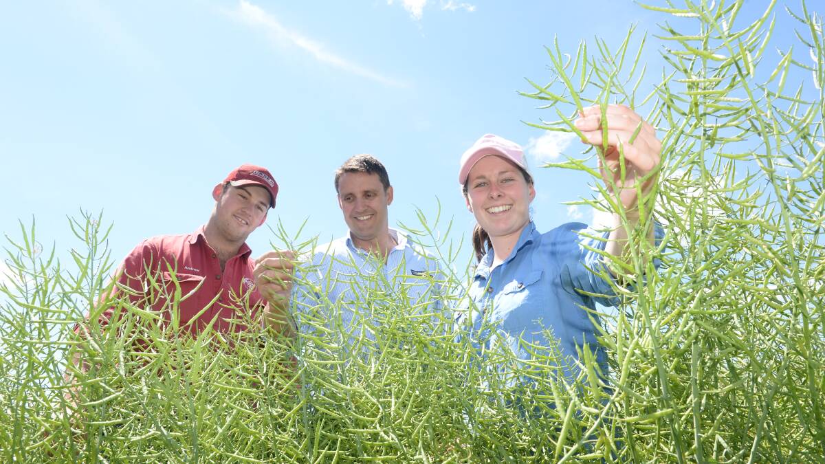 Andrew Gallagher, Lachlan Fertilizers Rural agronomist Baden Dickson, and Marlee Langfield (pictured on our cover), in their Clearfield 45Y91 canola crop, set for November harvest. Photo by Rachael Webb. 
