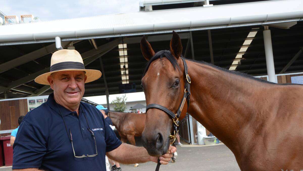  Carramar Park, Grose Wold, stud owner and operator Wayne Alchin pictured with $300,000 earner Garibaldi, will offer the horse's Capitalist half-sister at the forthcoming Inglis Classic Yearling Sale. Photo Virginia Harvey. 