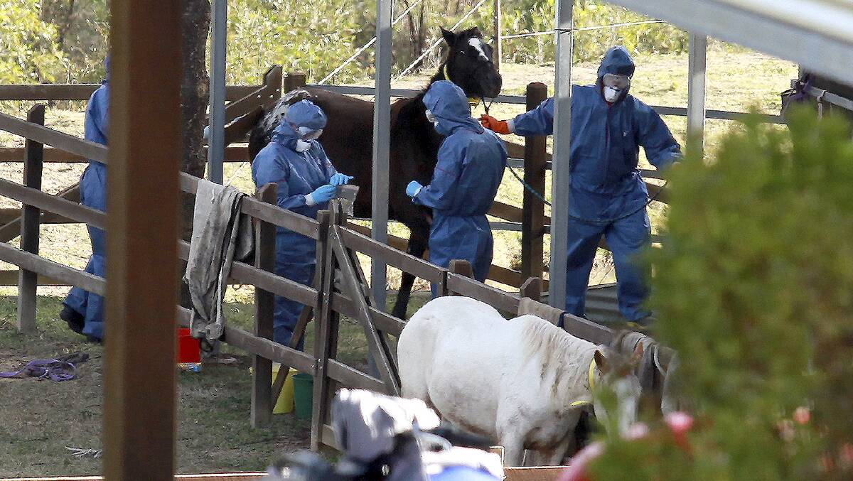 Vets attend to a case of Hendra in Boonah area in 2011.