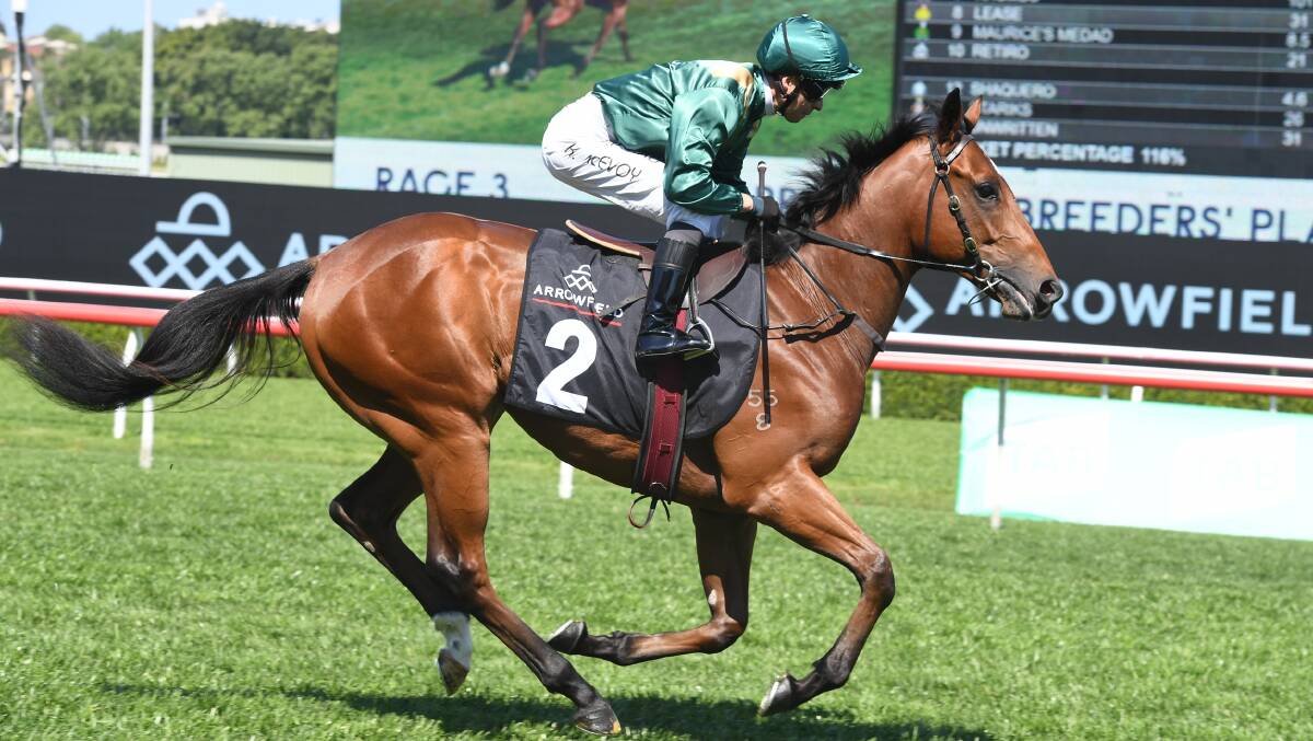 Bay colt by Star Turn, Astrologer (and Kerrin McEvoy up) finished third in the ATC Breeders Plate at Randwick. Photo Steve Hart 