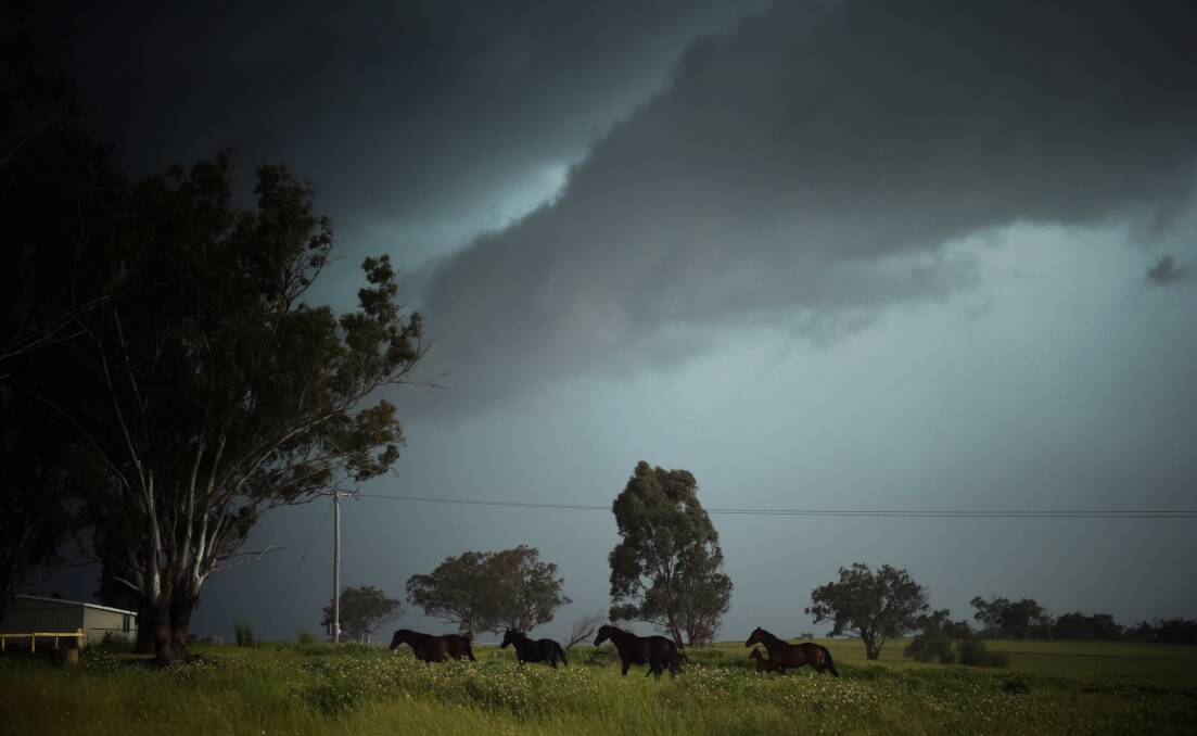 Storms brought good rain yesterday in central NSW. More is predicted today.