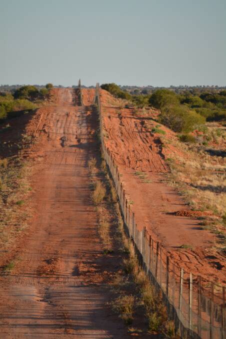 World's longest fence is planned to keep wild dogs at bay