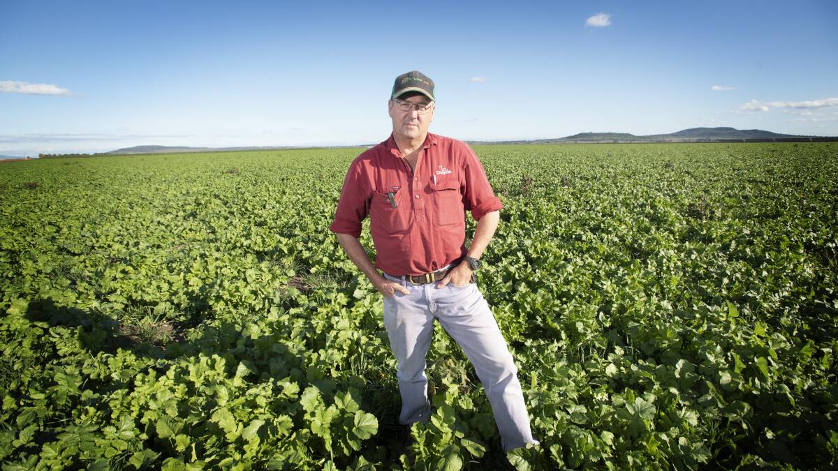 Hopefully we can get on with farming without worrying about our groundwater supplies, says Breeza farmer John Hamparsum, after the Shenhua coal mine project buyout was announced. Photo by Peter Hardin.