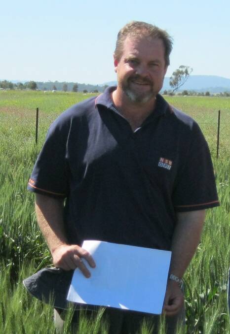 Dr Steven Simpfendorfer, NSW DPI Tamworth Agricultural Institute, says integrated controls have largely eliminated high yield losses. 