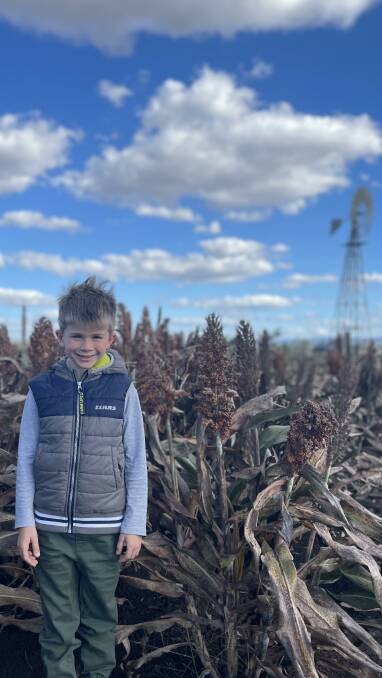 Jack Mitchell, 6, in the Bundella sorghum crop. 