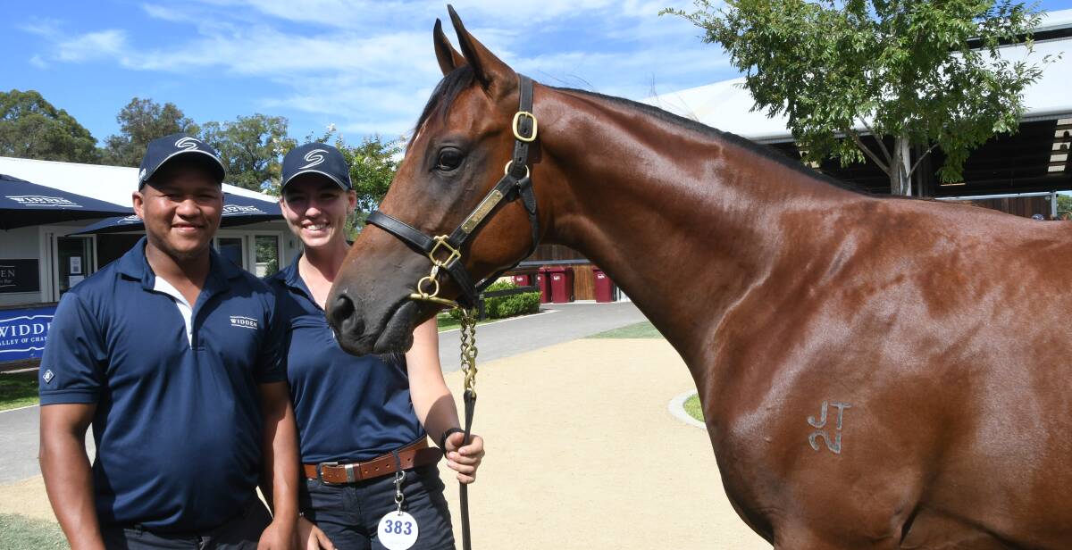 Widden Studs Amir Fredicks and Hilary Ballinger with its Zoustar-Tigress Lily colt which fetched $200,000 last week. Photo Virginia Harvey. 