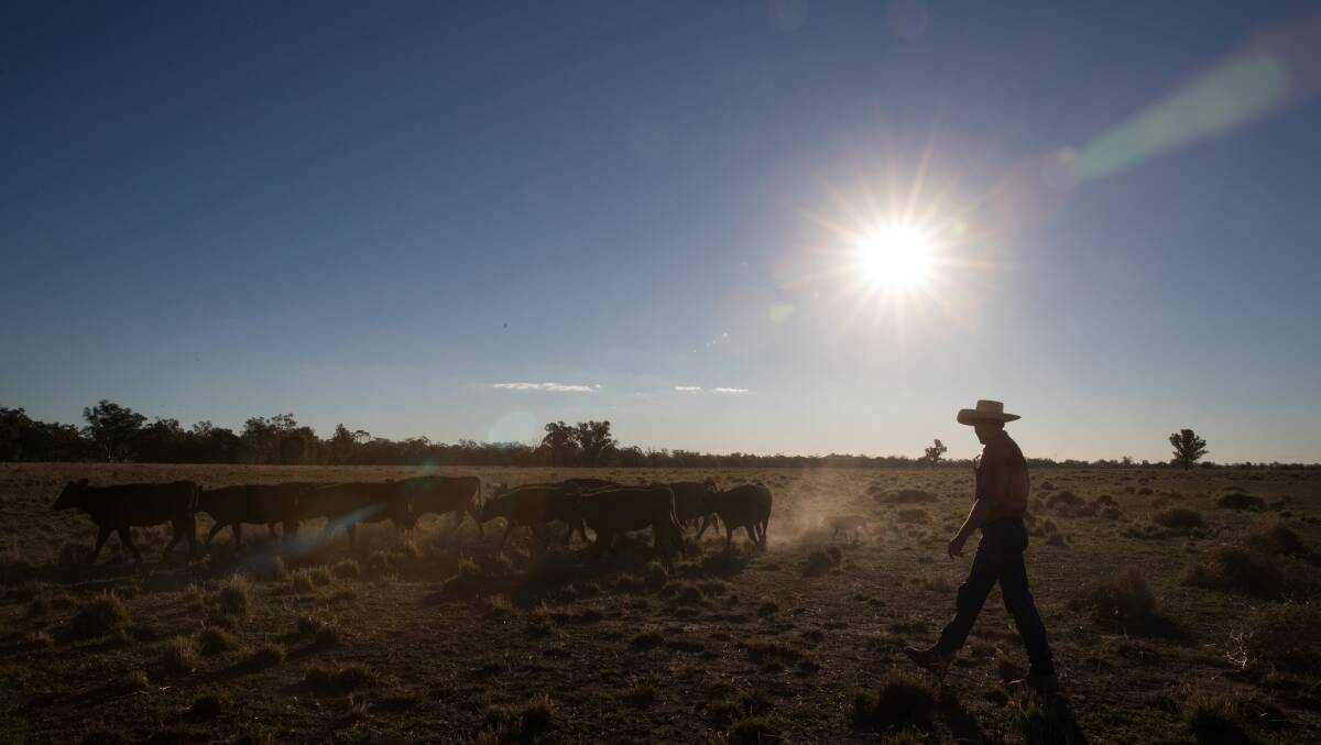 The NSW Government has boosted drought assistance by $355m with the drought rolling on.