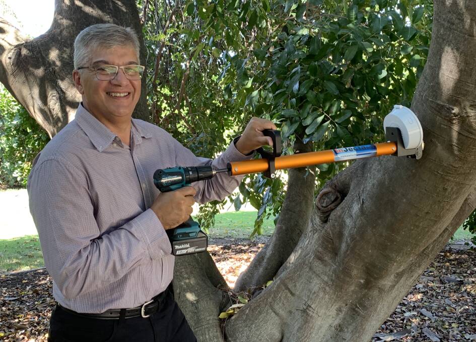 Professor Vic Galea demonstrates how a tree gun might work (not on a pest species). This is the latest version of the InJecta gun developed by the University of Queensland. 