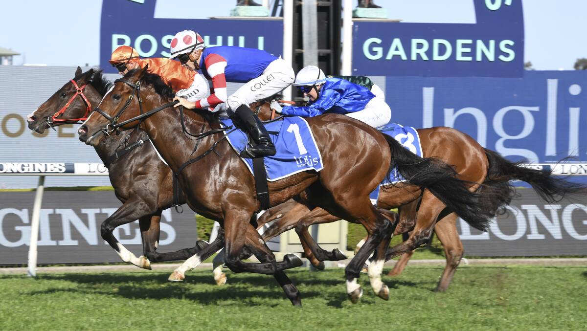 Classic Yearling Sale graduate Sejardan, which is among the favourites for the forthcoming Inglis Millennium at Randwick. 