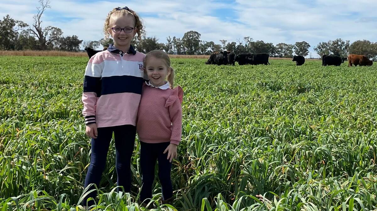 Grandchildren Mia and Georgia Freebairn, in our dual purpose oat crop with cattle grazing it since late April. Early frosts and a slow start to winter herbage growth has emphasised the importance of backup quality winter feed.