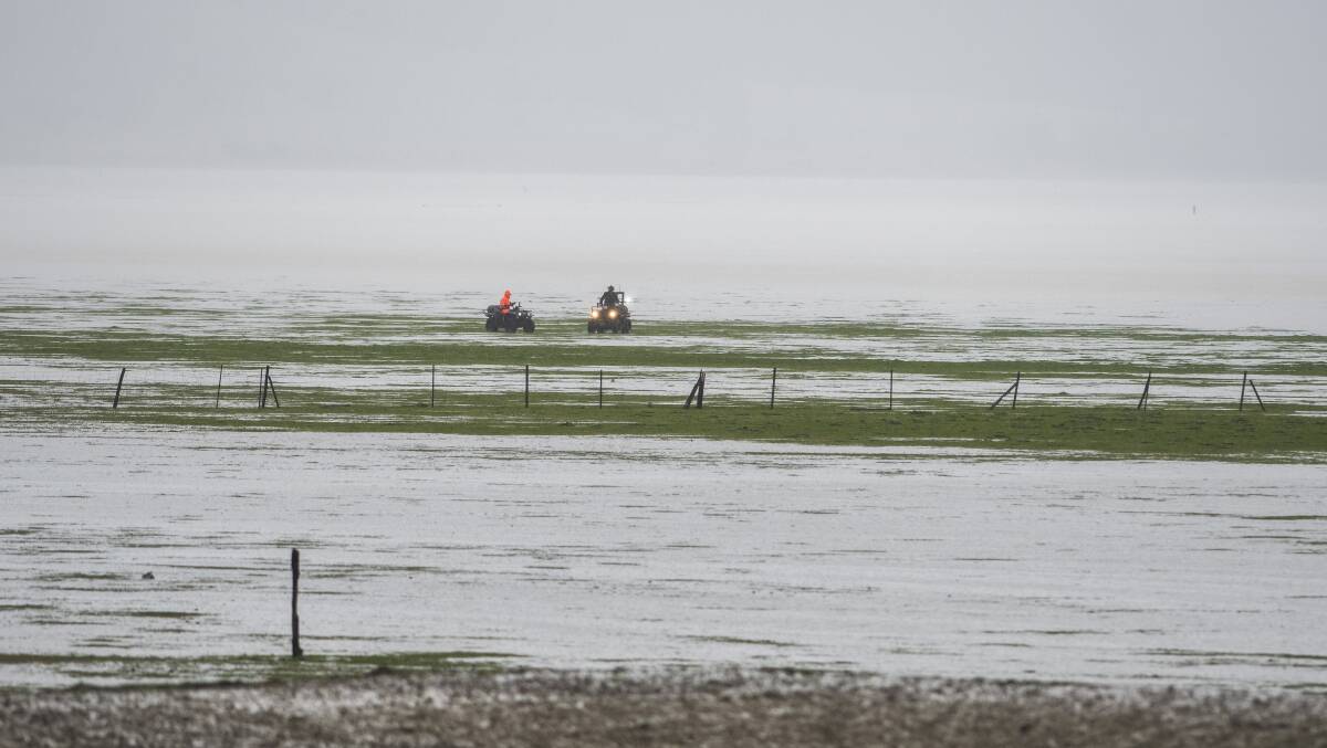 The Kershaw family joined the mission to save the mob of the Bingley's 500 merinos and other sheep out on the Lake as large inflows from local heavy rain made Lake George rise quickly. Photo by Dion Georgopolous.