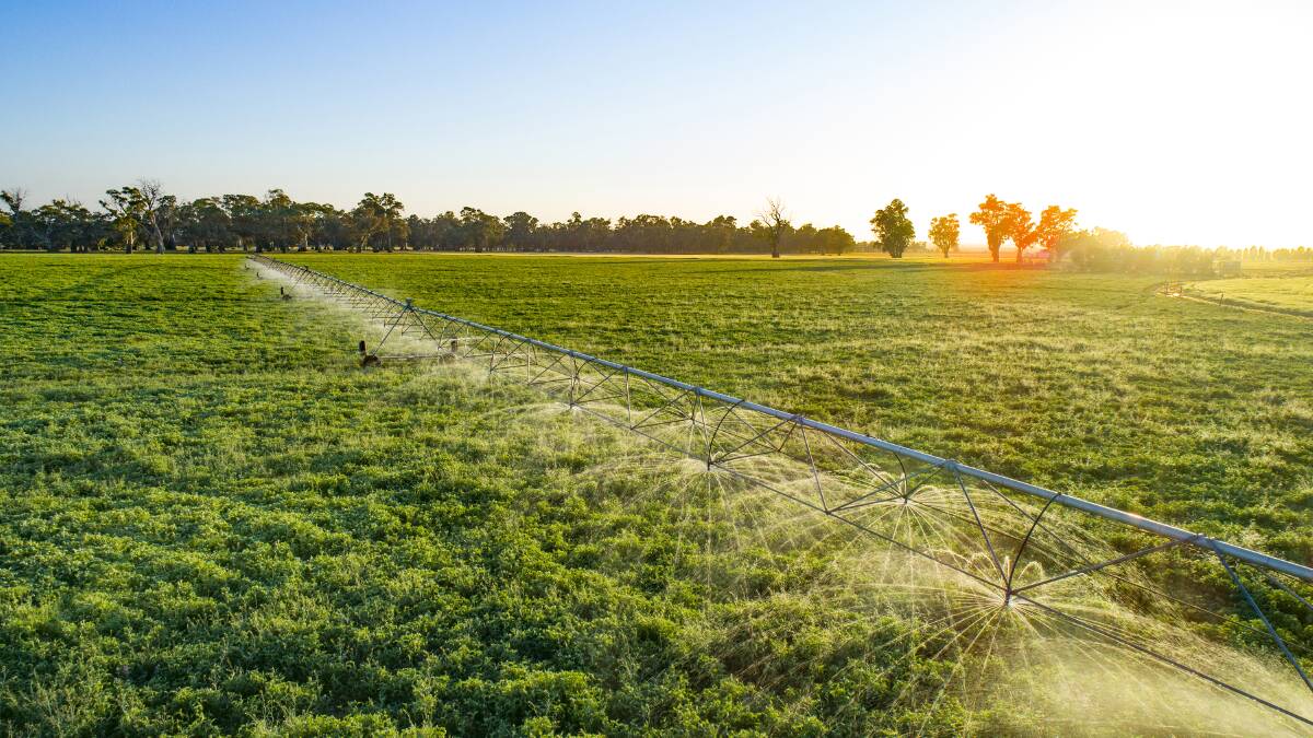 The Knights irrigate several crops including lucerne, oats and vetch. They have access to unmetered water.