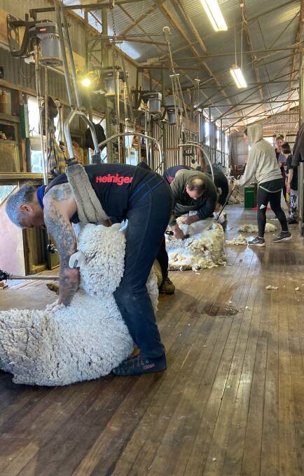 All stands covered at Jandra Station at Bourke for shearing this week, with 15,000 sheep shorn. Photo courtesy of Will Coy, Muddy's Quality Shearing.