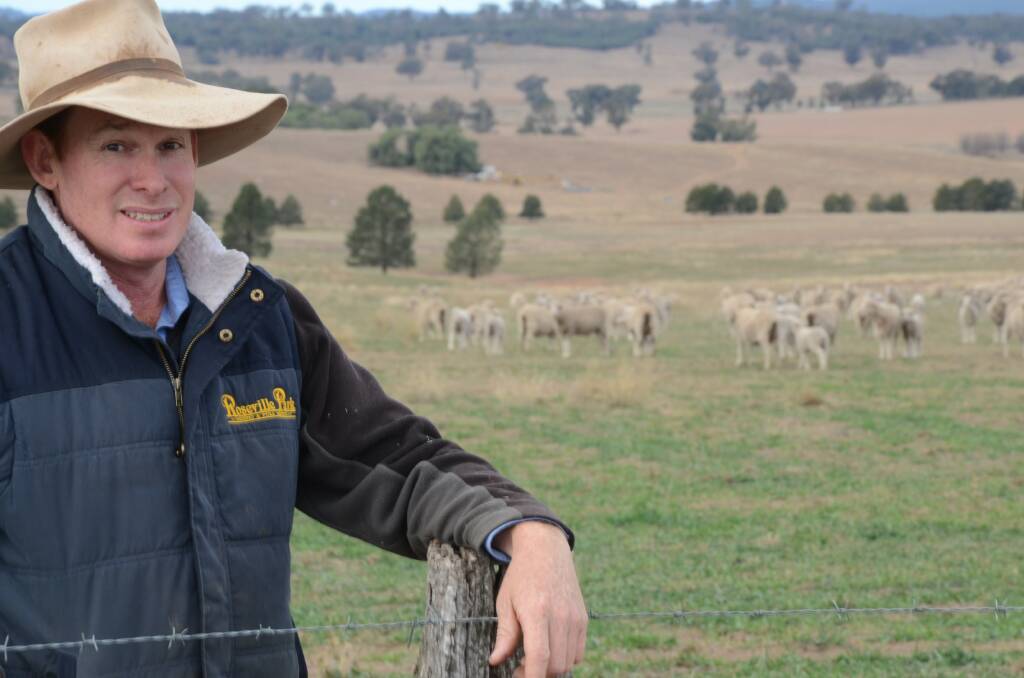 INDUSTRY LEADER: Matthew Coddington, Roseville Park Merinos, Dubbo, NSW, has held numerous advisory roles within the wool industry.