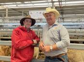 SALE-O: Elders Albury, NSW, livestock manager Brett Shea and vendor Andy Witsed, Bunroy Station, Bunroy, who sold Angus and Charolais mixed-sex calves at Wodonga on Thursday.
