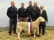 FROM THE WEST: Hillcroft Farms, Popanyinning, WA, won the supreme Australian cleanskin exhibit with this Ultra White ram. Judges include Paul Routley, Almondvale Poll Merino and White Suffolk stud, Urana, NSW, Brendan Mansbridge, Brooklyn Park Poll Dorsets, Eugowra, NSW, and Joel Donnan, Anden White Suffolks and Ultra White Suffolks stud, Woomelang, with Hillcroft Farms principals Dawson and Greta Bradford.
