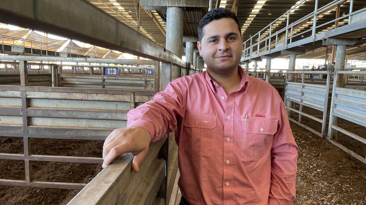 Elders Stud Stock specialist Ryan Bajada, Bairnsdale, will move interstate to Wagga Wagga, NSW, in the coming weeks as he looks back on the formative years of his career. Pictures by Bryce Eishold