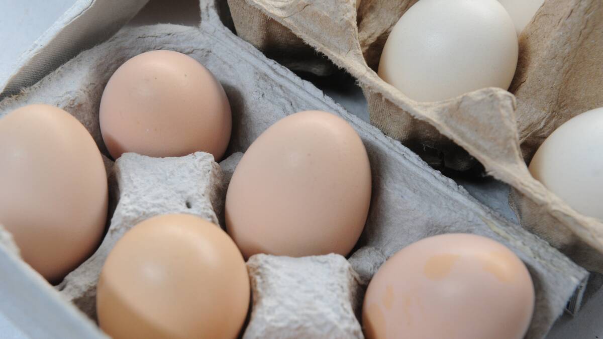 Australian eggs crack Taiwan market