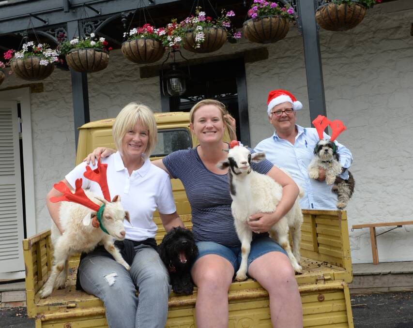 Liz Pratter, Kate Hufton and Kim Gamble cuddling Kate's miniature goats Maxy, Jasper, dogs Ziggy and Charlie.