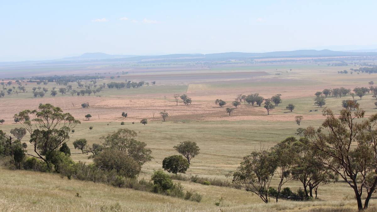 The productive mix of blacksoil plains, arable slopes and hill country was what attracted the present owner to “Mulela” at Pine Ridge.
