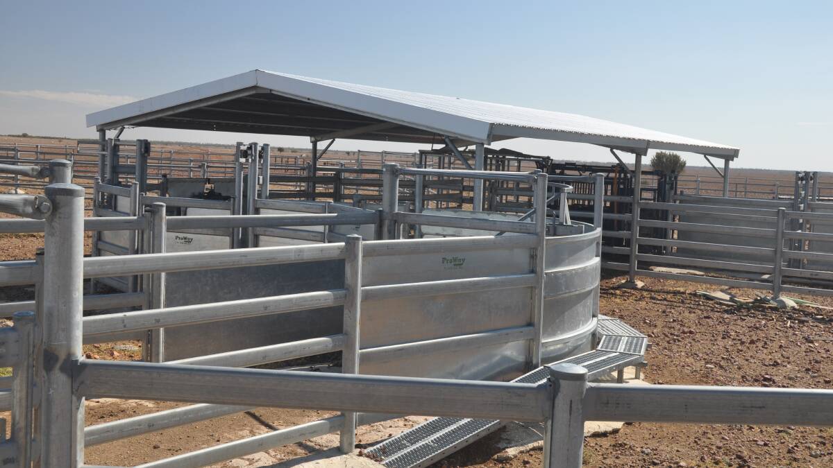 Two new sets of steel cattle yards on “Portland Downs” feature curved pens, covered work areas and four- or five-way drafts.
