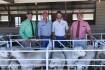 Baringa and Seriston Aussie Whites meet market in SA