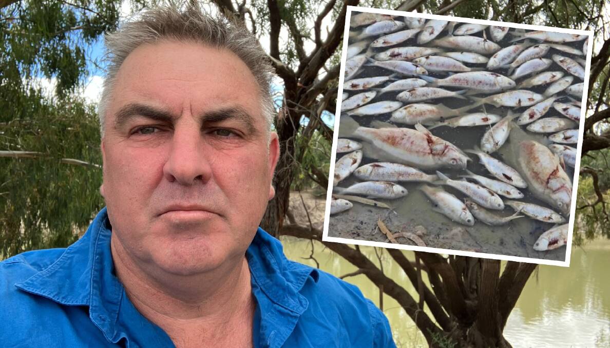 Menindee resident Graeme McCrabb has been documenting the extent of the fish kills in his hometown since 2018. Pictures supplied