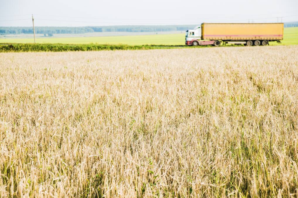 Factors such as supply and demand forecasts, storms in the USA, favourable currency trends and activities of managed funds are impacting on local grain values.