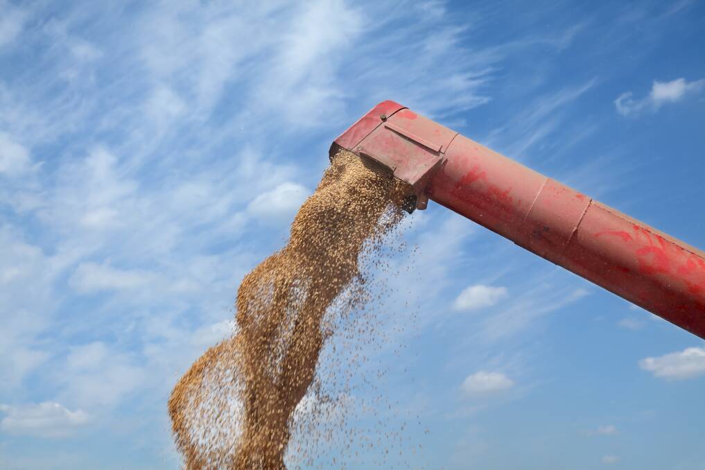 Changes in chemical requirements in key overseas grain markets could affect exports this year.