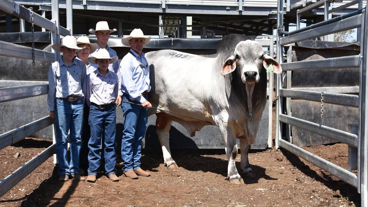 Kathryn and Tony Mortimer, Cotswold, Dalma, with sons Darcy, 17, Cameron, 15, and Cody, 12, sold Token Joe 693/7 (P) for $100,000 to Catherine Mackenzie, Arizona Brahmans, Dingo. Picture: Jessica Johnston