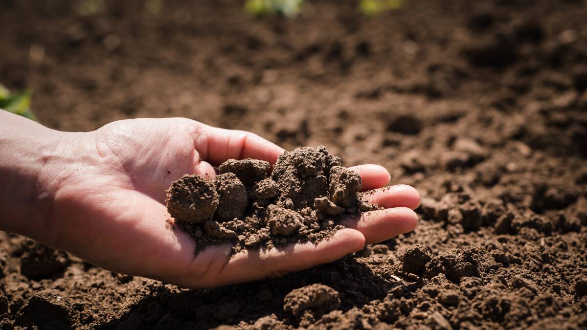 Carbon Count is an end-to-end soil carbon project management system. Picture: Shutterstock