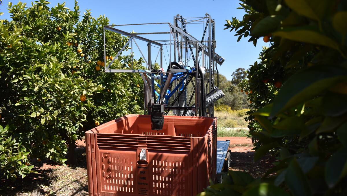 Ripe Robotics has developed an autonomous robot to harvest apples, oranges and stone fruit and has received a grant from the federal government. Picture: Shaun Paterson