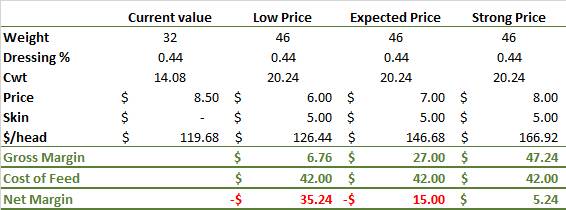 Table one: Based on a purchase weight of 32 kg lwt and with a finished lamb at 20.24kg cwt, there needs to be a $42 spread between store and trade lamb prices to make feeding work. Trade lamb prices below 700 cents will not produce a profit.