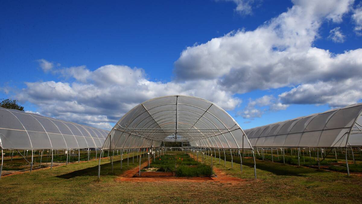 The site has six identical dome shelters, with the crops growing underneath. Picture: Geoff Jones