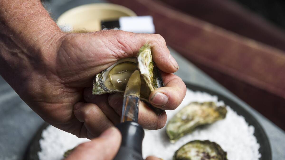 An oyster being shucked. Picture: Dion Georgopoulos
