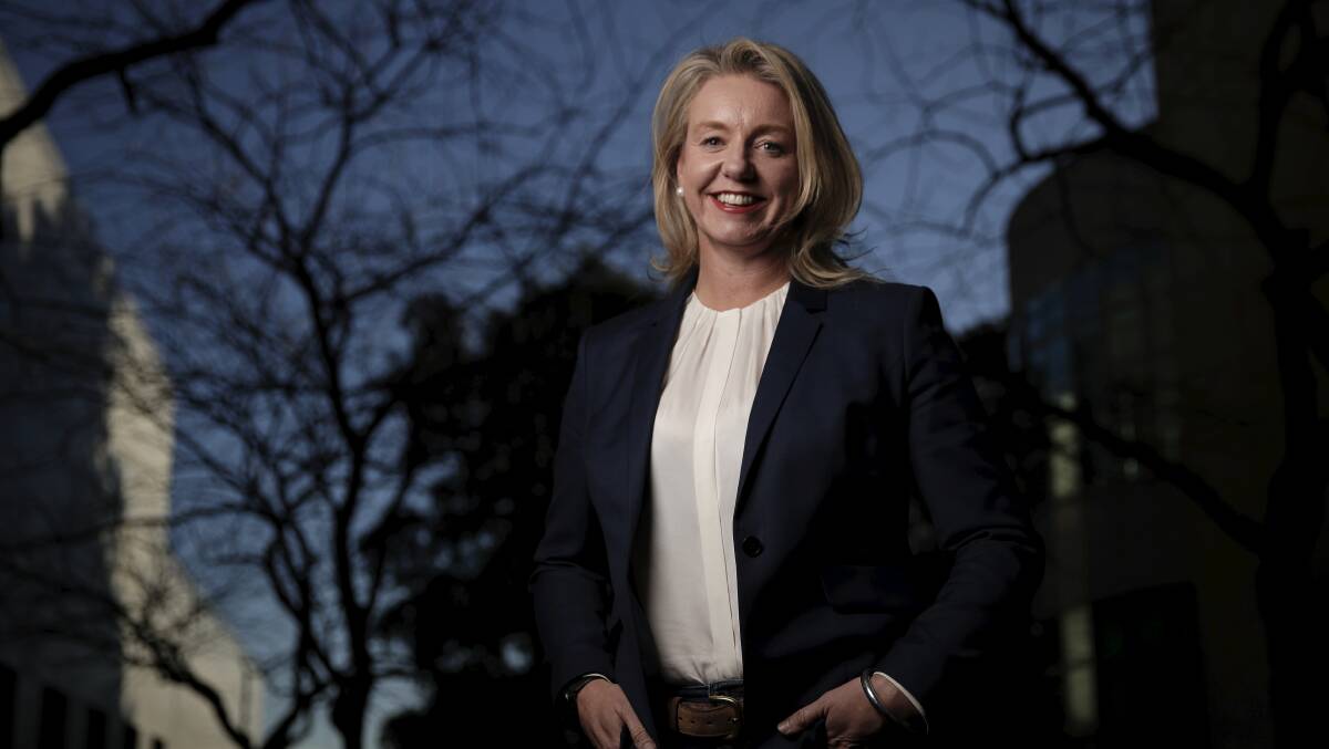 CODE COUP: The Dairy Mandatory Code of Conduct is a major coup for federal agriculture minister Bridget McKenzie. Photo: Alex Ellinghausen