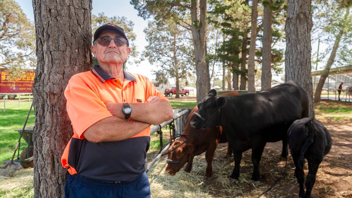 Canberra show cattle exhibitor John Hudson, from Wells Station, has been affected by the drought. He will be showcasing six Ausline cattle at this year's event. Picture: Elesa Kurtz 