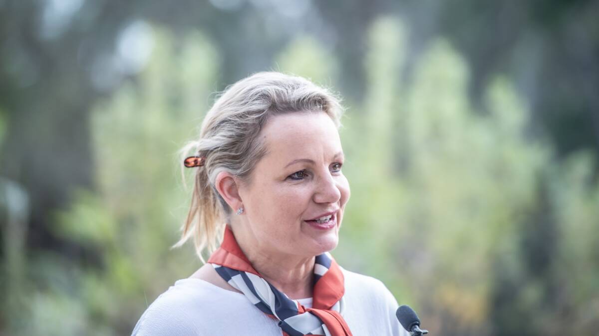 Environment Minister Sussan Ley said threatened species recovery was a national priority. Picture: Karleen Minney