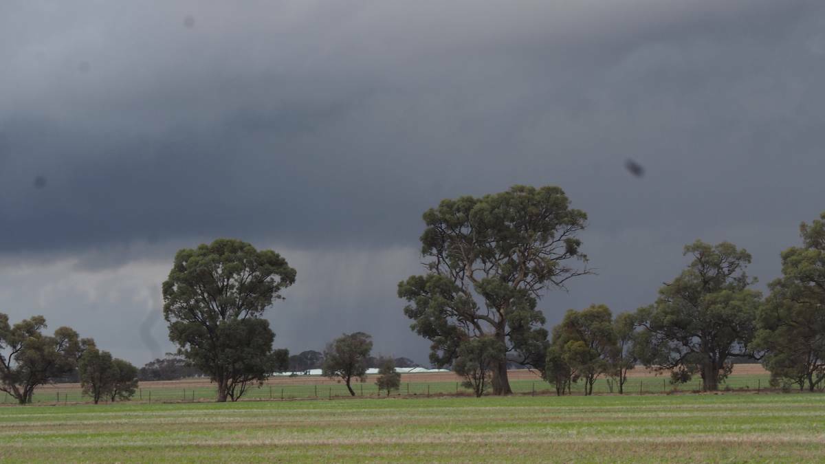 Much needed rain fell across many parts of Australia during the past week and has boosted crop prospects, especially in NSW.
