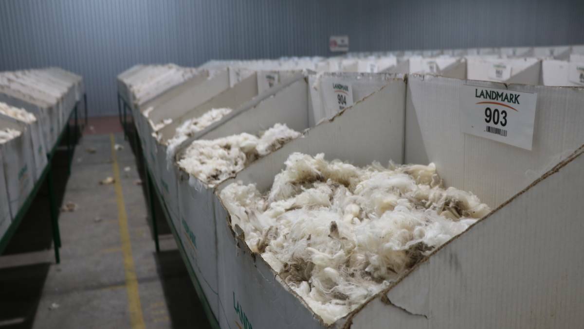 Even with very tight supplies, national and online wool auctions failed to spark much buyer demand last week.