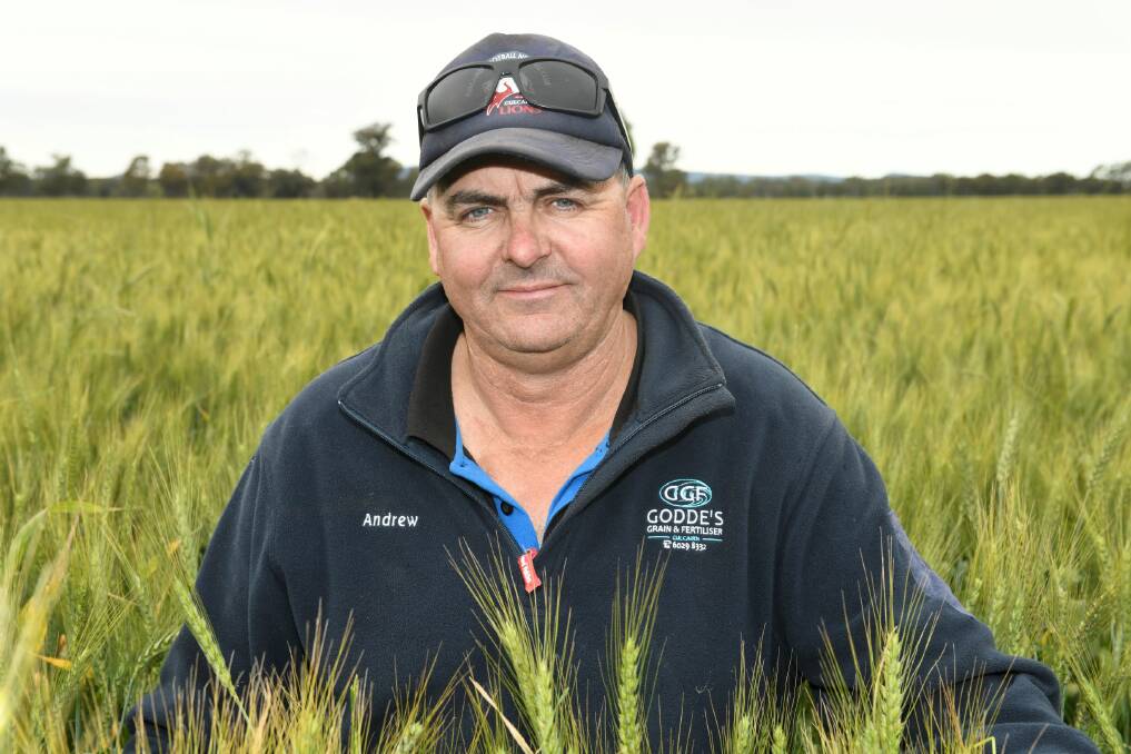 MIXING IT UP: The new Overwatch® Herbicide will help Culcairn grain grower Andrew Godde add a new tool to help combat annual ryegrass.
