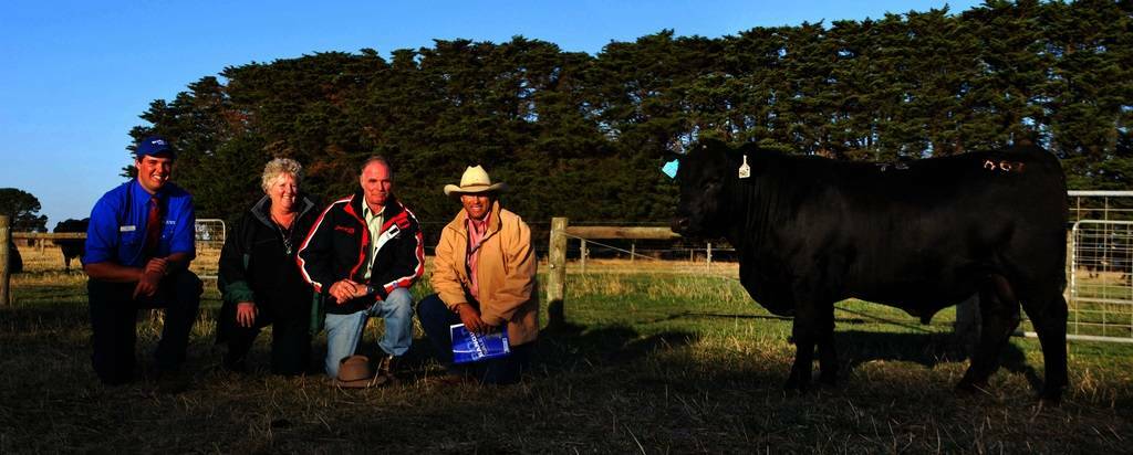 This impressive bull was bought from the Banquet Angus stud by David and Gail Geddes, Warranboo Partnership, Holbrook, for $13,000. Pictured with the bull are Banquet stud principal Gordon Branson, Mortlake, Victoria, Gail and David Geddes, and Elders Holbrook agent Tim Wright.
