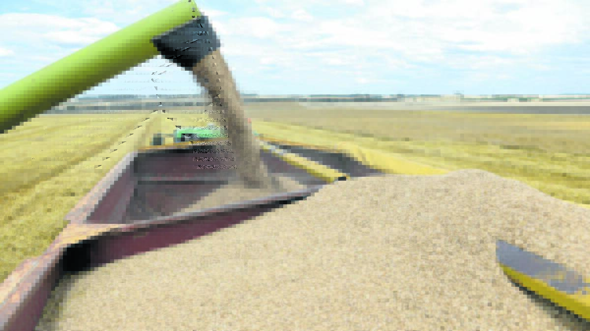 Rising input costs may lead to farmers straying from their scheduled rotation, choosing to plant more pulses to reduce the amount of fertiliser required or reducing overall cropping area.