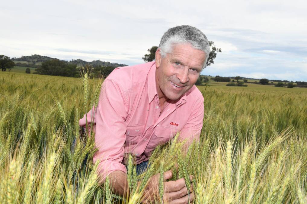 EXTRA TOOL: Agronomist Peter Watt, of Elders Cowra, says access to Overwatch® Herbicide will be valuable for growers to plan cereal and canola rotations.
