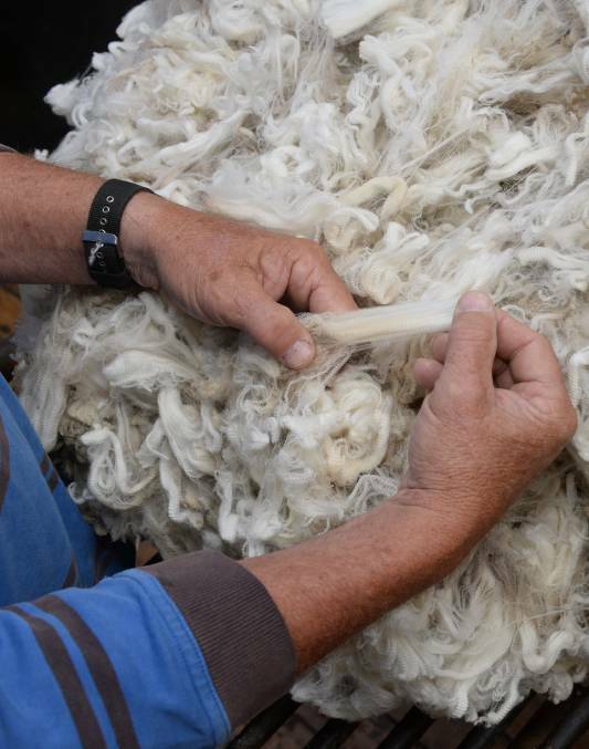 During the physical wool auction break, AuctionsPlus sold a line of 14-micron superfine fleece for 1925 cents a kilogram (greasy), or 2659c/kg (clean), through its online offer board.