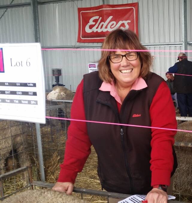 FIT FOR PURPOSE: Elders South Australian district wool manager for the south east, Stephanie Brooker-Jones, said Merinos were ideal for all types of sheep systems in her region.
