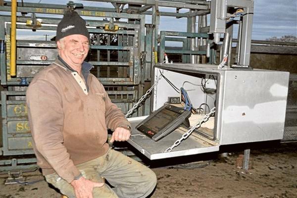 David Geddes uses a Gallagah TSi, which he says is one of the most high-tech pieces of farming equipment he owns and a valuable cattle management tool.