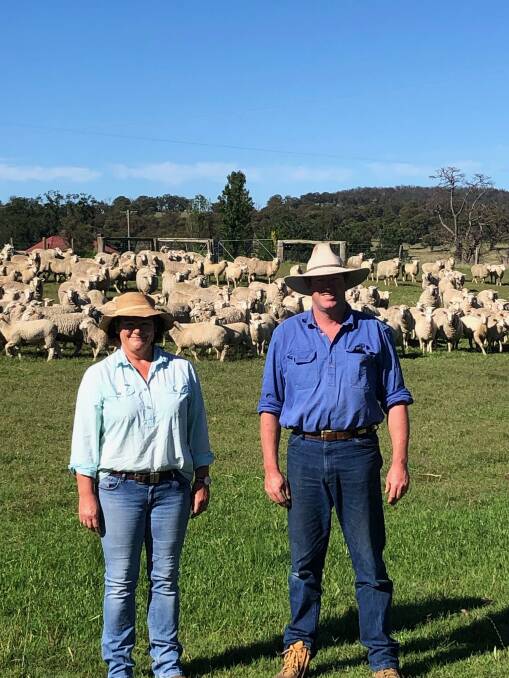 The Fosters join Merino-Border Leicester first-cross ewes to White Suffolk rams for ease of lambing and high growth rates in their flock.