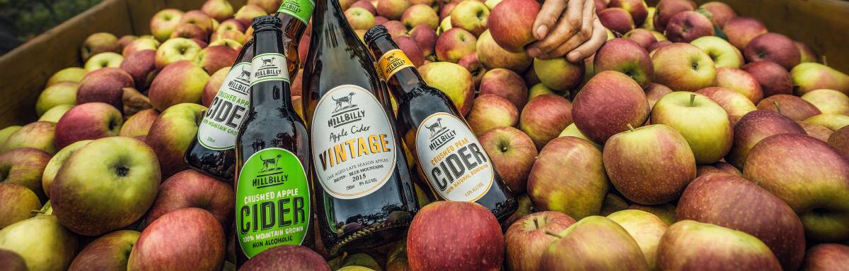 ORIGINS: The Australian cider industry has seen healthy growth over the past decade and will now benefit from investment into a traceability program. 