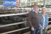 Big Colac weaner yarding kicks off with a punch